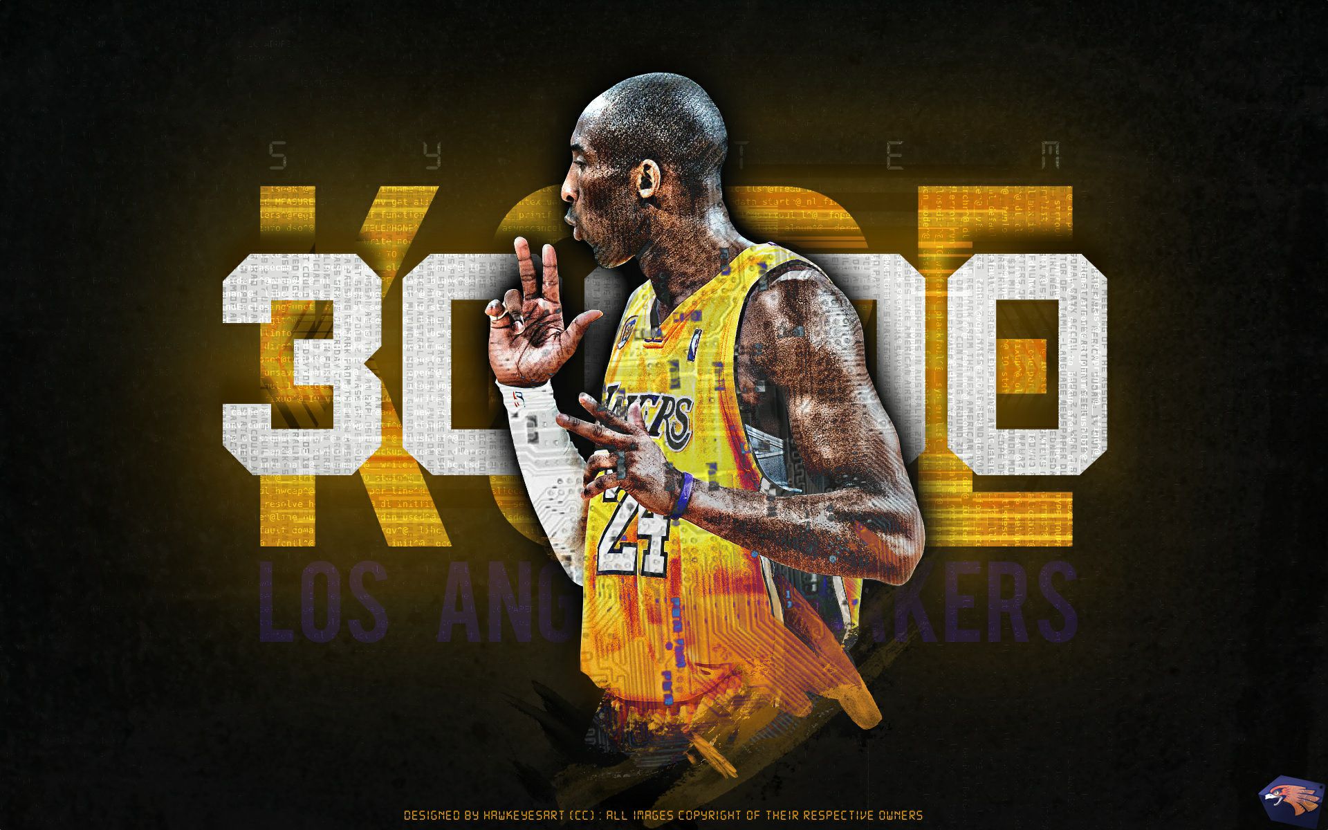 功的关键因 功的关键因